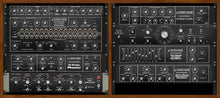Load image into Gallery viewer, Cherry Audio Rackmode Signal Processors • A Monument of Sound
