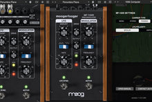 Load image into Gallery viewer, Moog Music MF-102S • Ring Modulator
