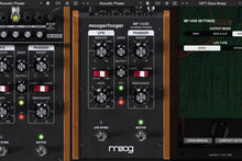 Load image into Gallery viewer, Moog Music MF-103S • 12 Stage Phaser
