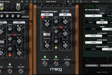 Load image into Gallery viewer, Moog Music MF-104S • Analog Delay
