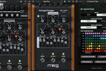 Load image into Gallery viewer, Moog Music MF-105S • MuRF

