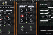 Load image into Gallery viewer, Moog Music MF-108S • Cluster Flux

