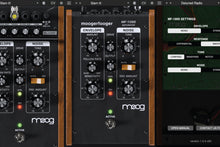 Load image into Gallery viewer, Moog Music MF-109S • Saturator
