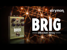 Load and play video in Gallery viewer, Strymon Brig • Bucket Brigade Delay
