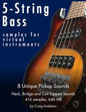 Load image into Gallery viewer, 5-String Bass Samples for Virtual Instruments
